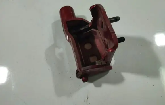 Renault Clio III Rear door lower hinge 