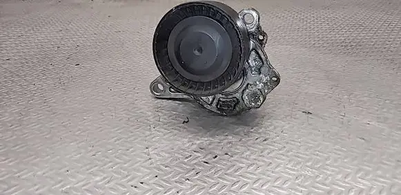 Renault Trafic III (X82) Generator/alternator belt tensioner