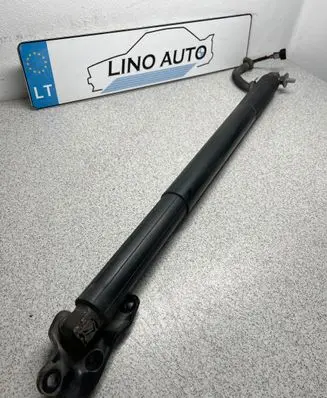 BMW 5 GT F07 Tailgate/trunk strut/damper 7200543