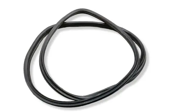BMW 2 F45 Front door rubber seal 7420077