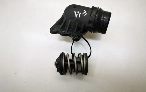 Thermostat/thermostat housing
