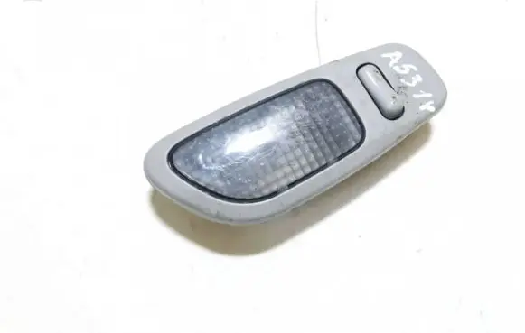 Rear seat light