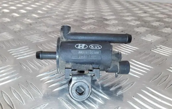 Hyundai Grandeur Valve vacuum 289103C100