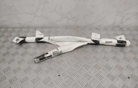 Tesla Model X Roof airbag