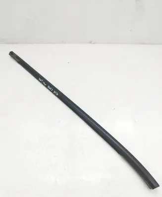 Rear door trim (molding)