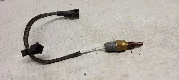 Ford Ecosport Coolant temperature sensor D2BA6G004A