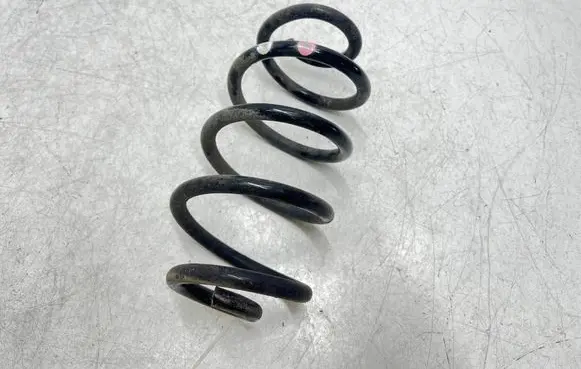 Rear coil spring