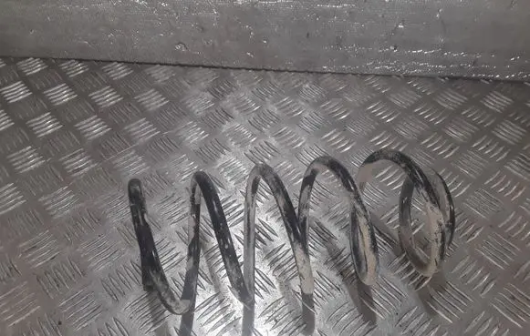 Rear coil spring