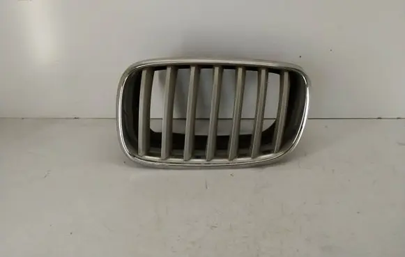 BMW X5 E70 Front bumper upper radiator grill 7185223