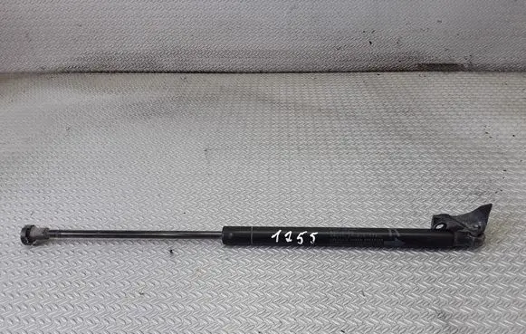 Tailgate/trunk strut/damper
