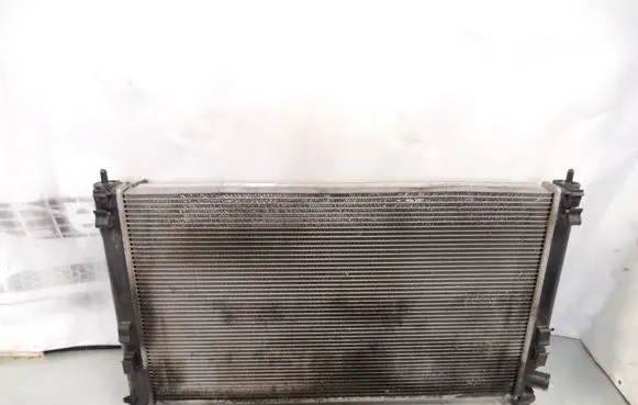 Peugeot 4007 Coolant radiator DS8
