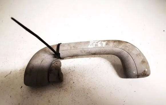 Hyundai Sonata Rear interior roof grab handle