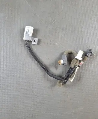 Other wiring loom
