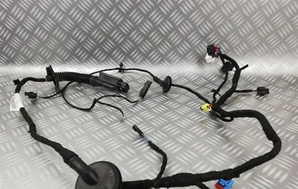 Audi A8 S8 D5 Front door wiring loom/harness boot 4N0971030AC