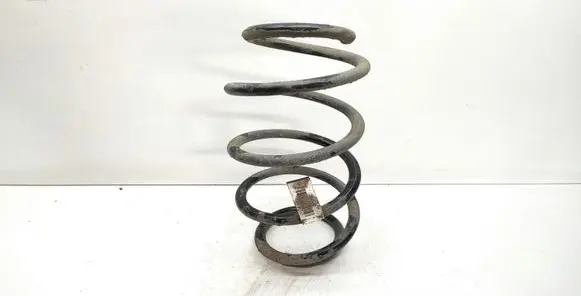 BMW X3 F25 Front coil spring 6787144