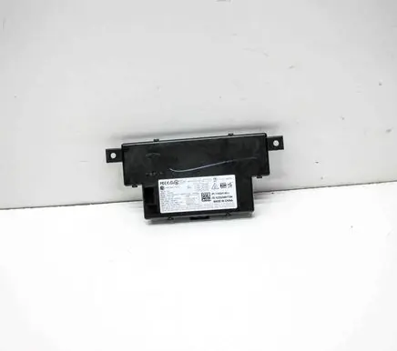 Tesla Model Y Door central lock control unit/module 110024100J