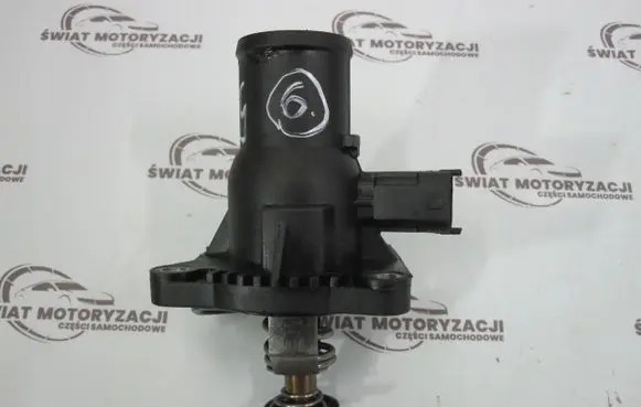 Thermostat/thermostat housing