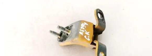 Honda Jazz Rear door lower hinge