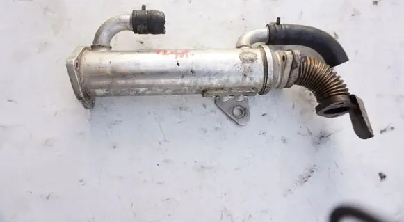 Seat Leon (1M) EGR valve cooler