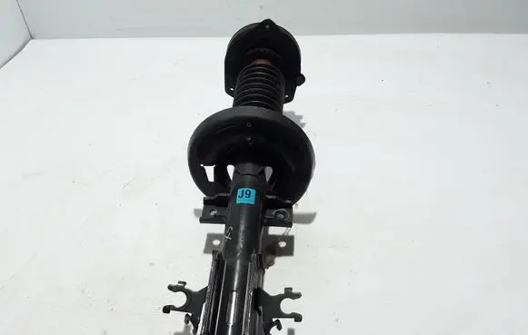 Renault Latitude (L70) Front shock absorber/damper 513025835R