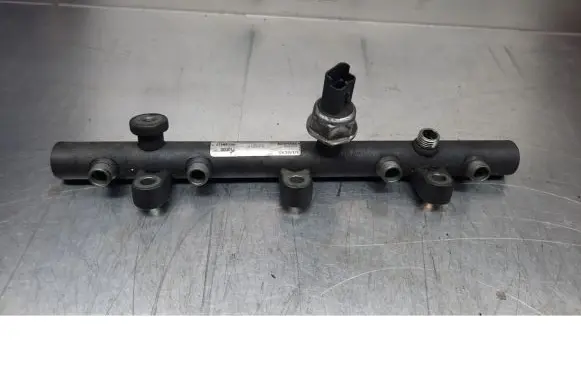 Citroen Berlingo Fuel injector supply line/pipe 