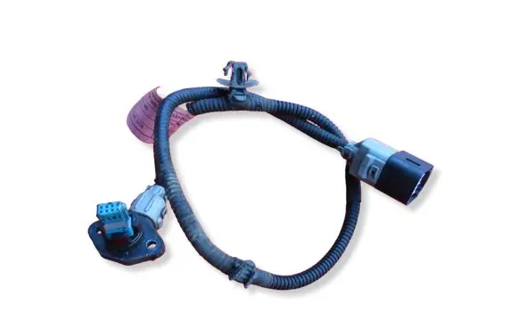 Hyundai Santa Fe Other wiring loom C557760100