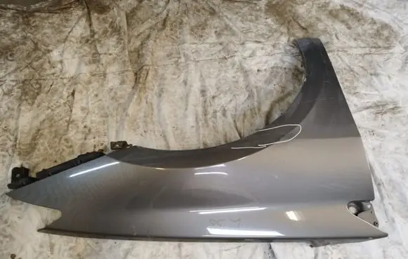 Renault Laguna III Fender