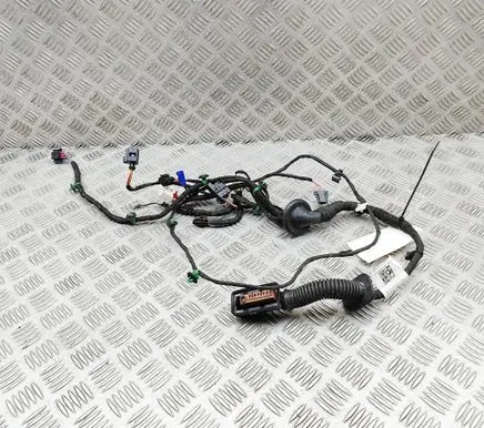 Audi E-tron GT Front door wiring loom 4J3971029G