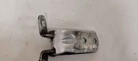 Rear door lower hinge