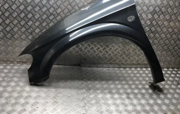 Chrysler Grand Voyager IV Fender