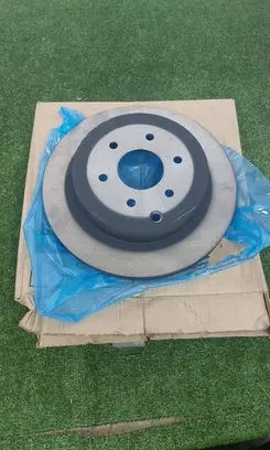 Nissan Pathfinder R51 Rear brake disc 43206-eb300