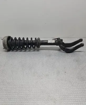 BMW X6 E71 Front shock absorber/damper 678301602