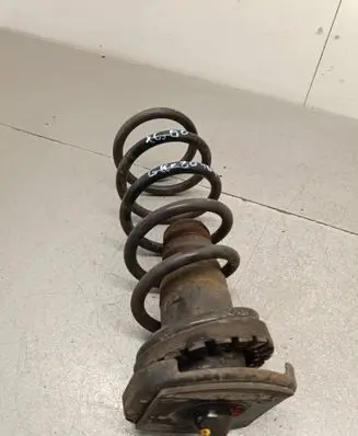 Rear coil spring