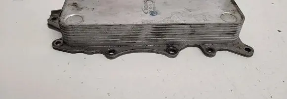 Mercedes-Benz E W211 Engine oil radiator 987083067 V30601317