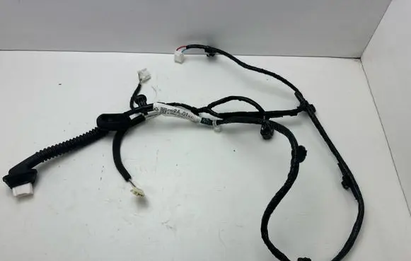 Subaru Outback (BT) Rear door wiring loom 3E595BUA