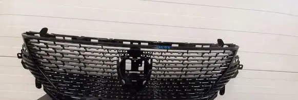 Ford Fiesta Front grill