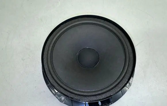 Volkswagen PASSAT B7 Rear door speaker 3C8035453