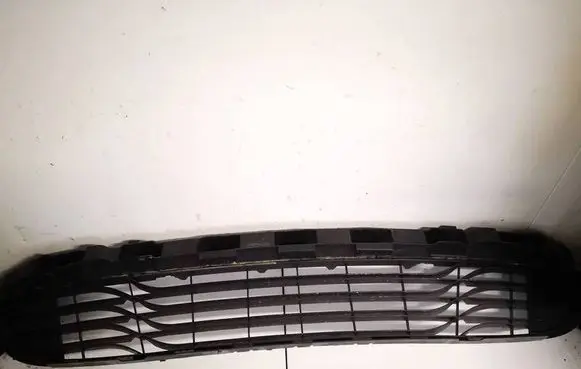 Front bumper lower grill