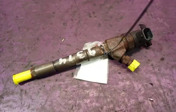 Opel Zafira B Fuel injector 