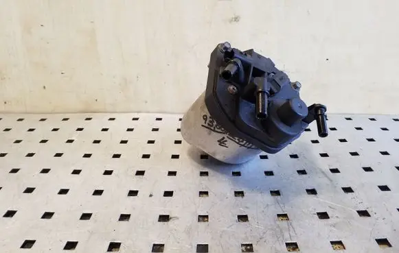 Peugeot 508 Fuel filter 9672314980