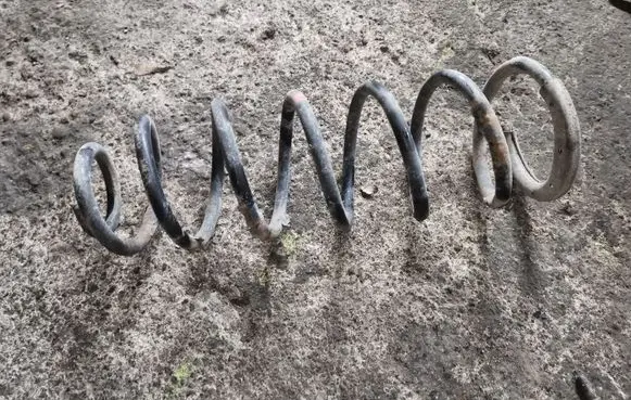 Citroen C8 Rear coil spring