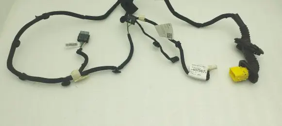 Citroen C4 III e-C4 Rear door wiring loom 9840756780