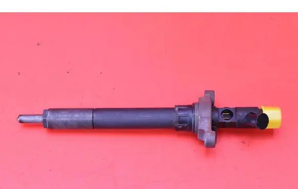 Citroen C5 Fuel injector 9656389980