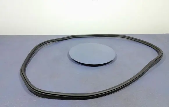 BMW X6 M Front door rubber seal 7437788