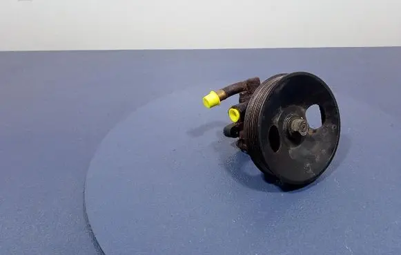 Chevrolet Evanda Power steering pump 