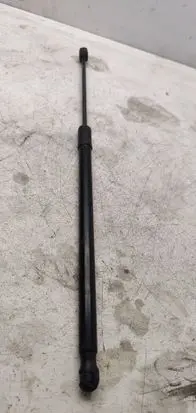 Tailgate/trunk strut/damper
