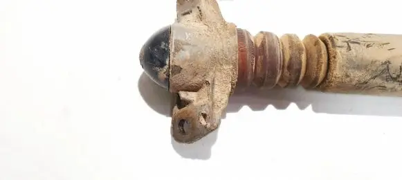 Coil spring mount