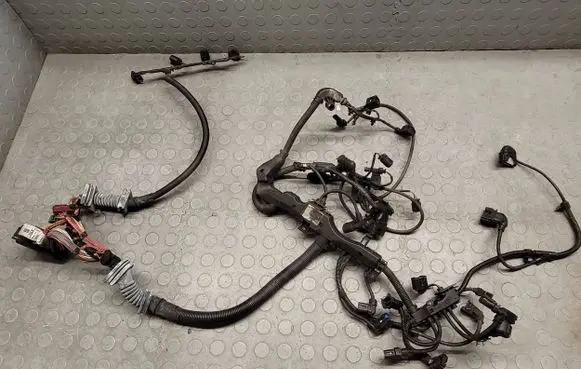 Engine installation wiring loom