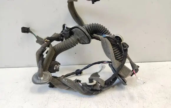Renault Megane III Front door wiring loom 241250845R