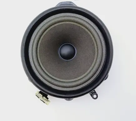 Front door speaker